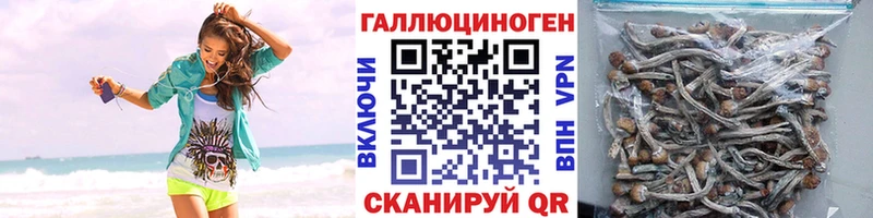 Галлюциногенные грибы ЛСД  KRAKEN   Рудня  продажа наркотиков 